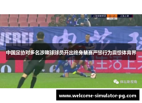 中国足协对多名涉赌球球员开出终身禁赛严惩行为震惊体育界